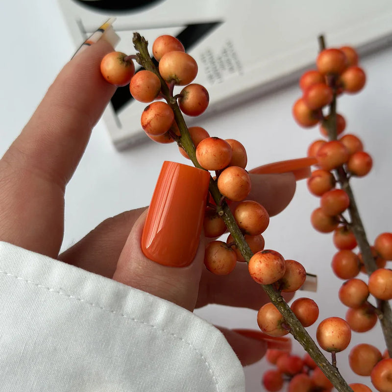 Gel polish Dark Cheddar, Didier Lab