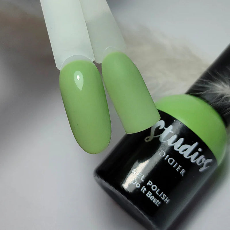 Gel polish Do it best, Didier Lab, Hema and TPO free