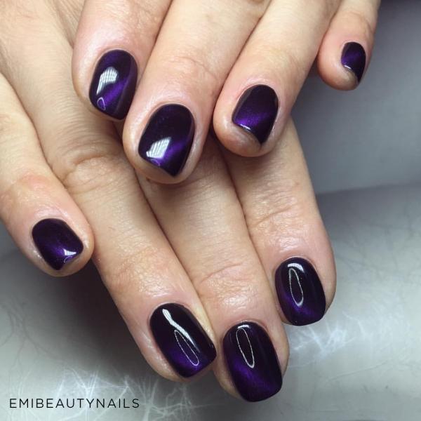Didierlab Cat eye Gel polish 
