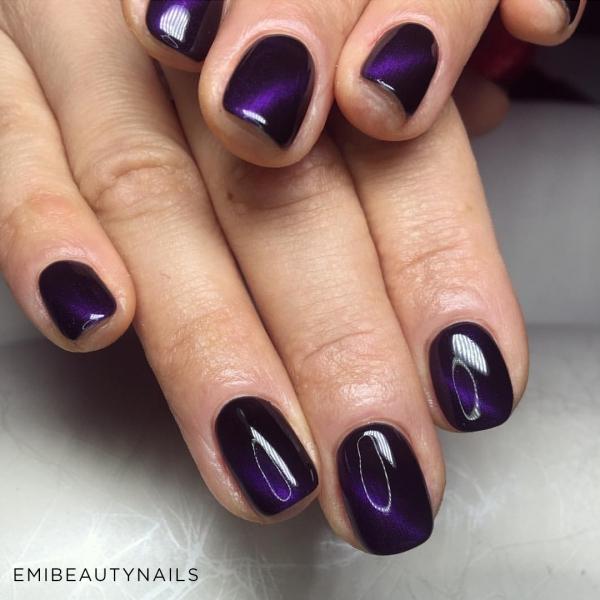 Didierlab Cat eye Gel polish 