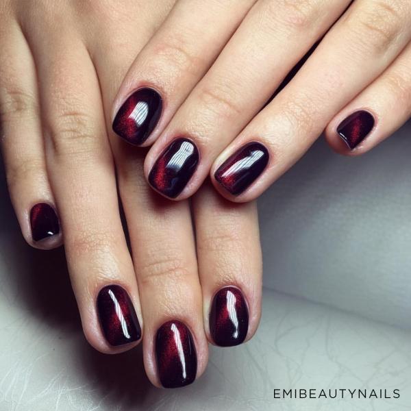 Didierlab Cat eye Gel polish 