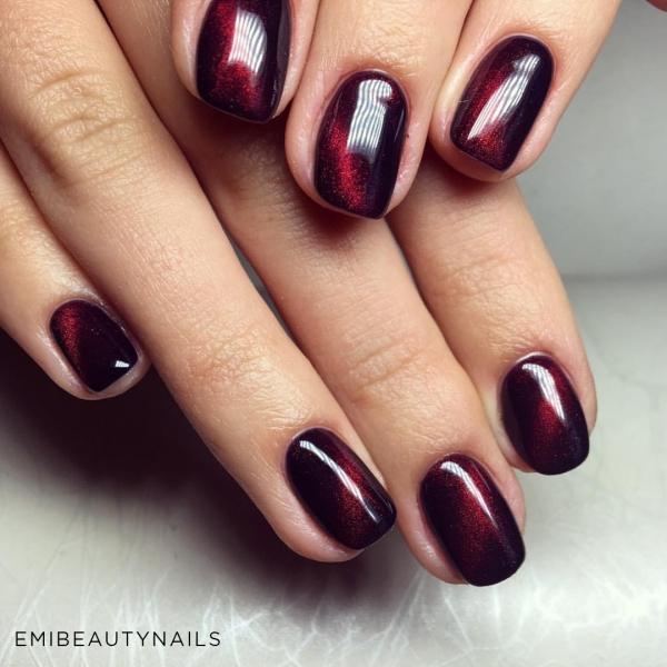 Didierlab Cat eye Gel polish 